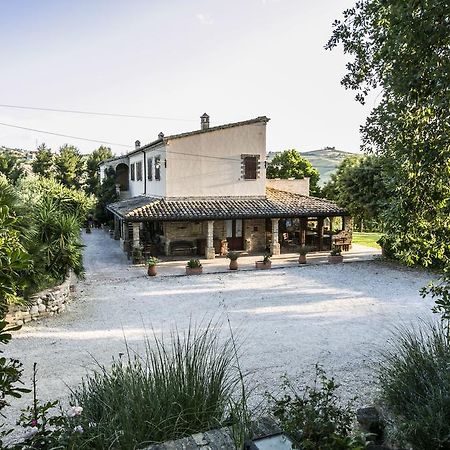 Agriturismo Col Morino Panzió Pineto Kültér fotó