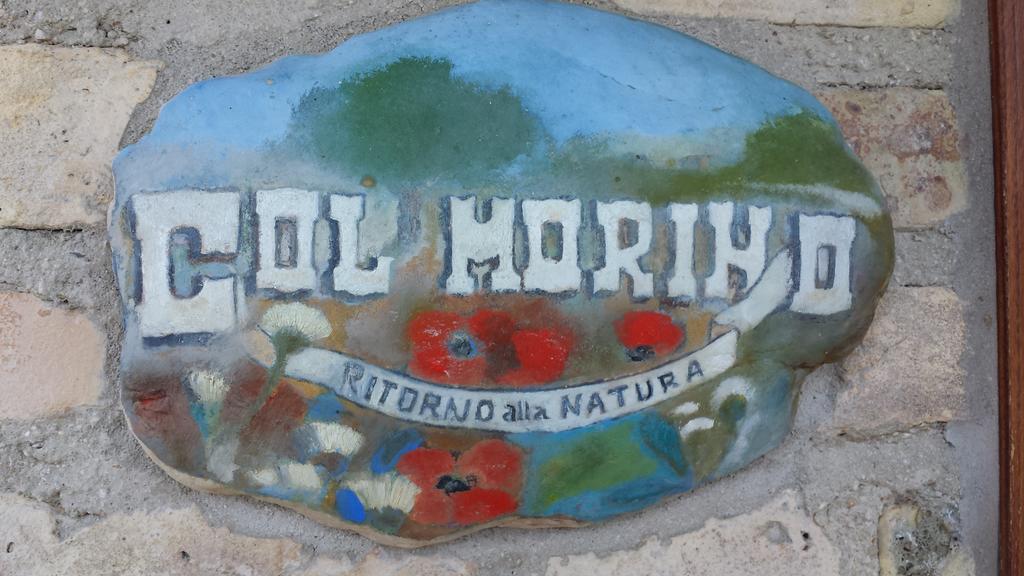 Agriturismo Col Morino Panzió Pineto Kültér fotó