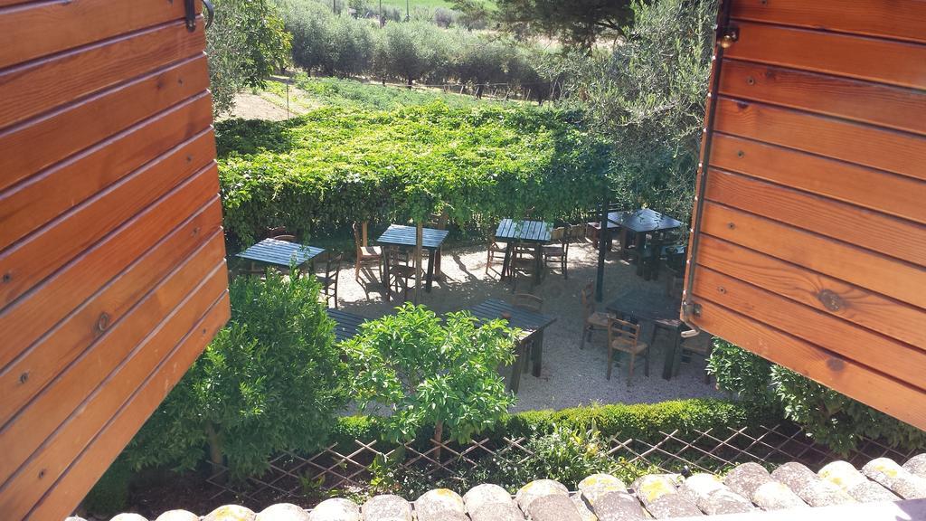 Agriturismo Col Morino Panzió Pineto Szoba fotó