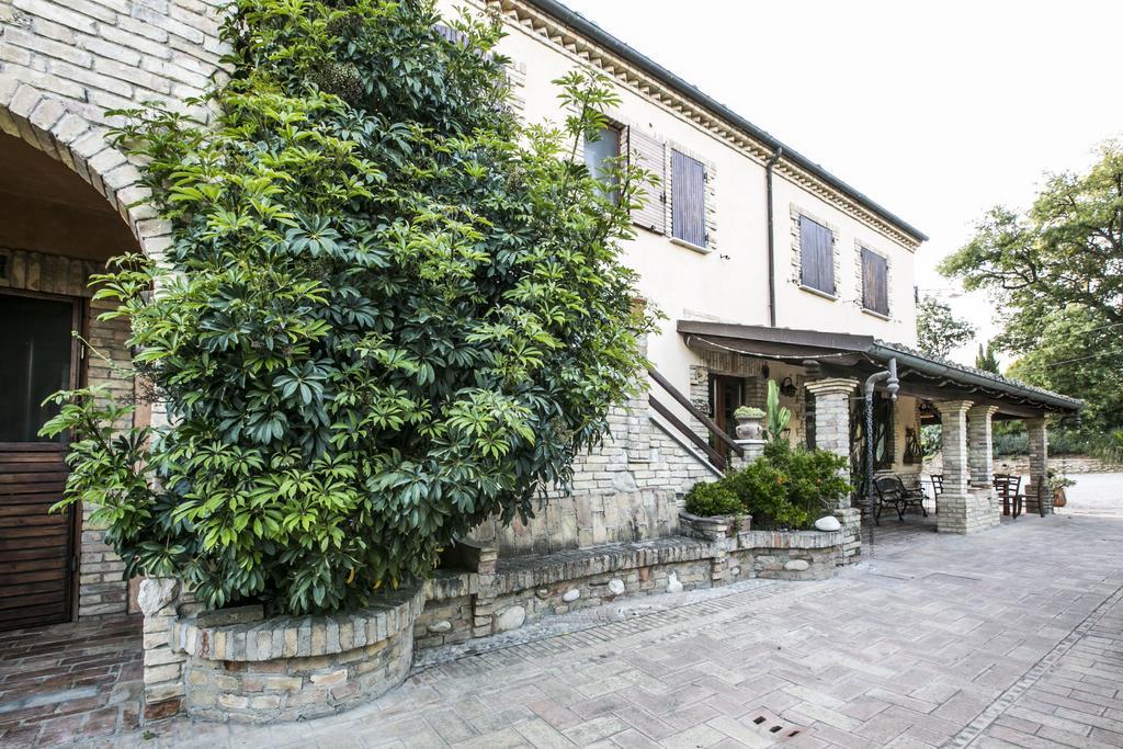 Agriturismo Col Morino Panzió Pineto Kültér fotó