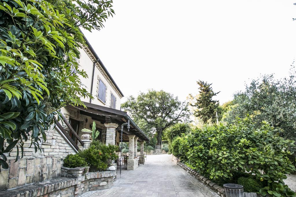 Agriturismo Col Morino Panzió Pineto Kültér fotó