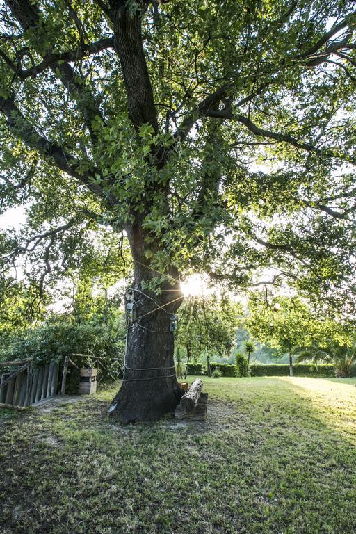 Agriturismo Col Morino Panzió Pineto Kültér fotó
