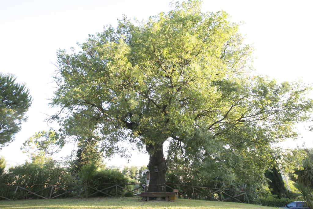 Agriturismo Col Morino Panzió Pineto Kültér fotó